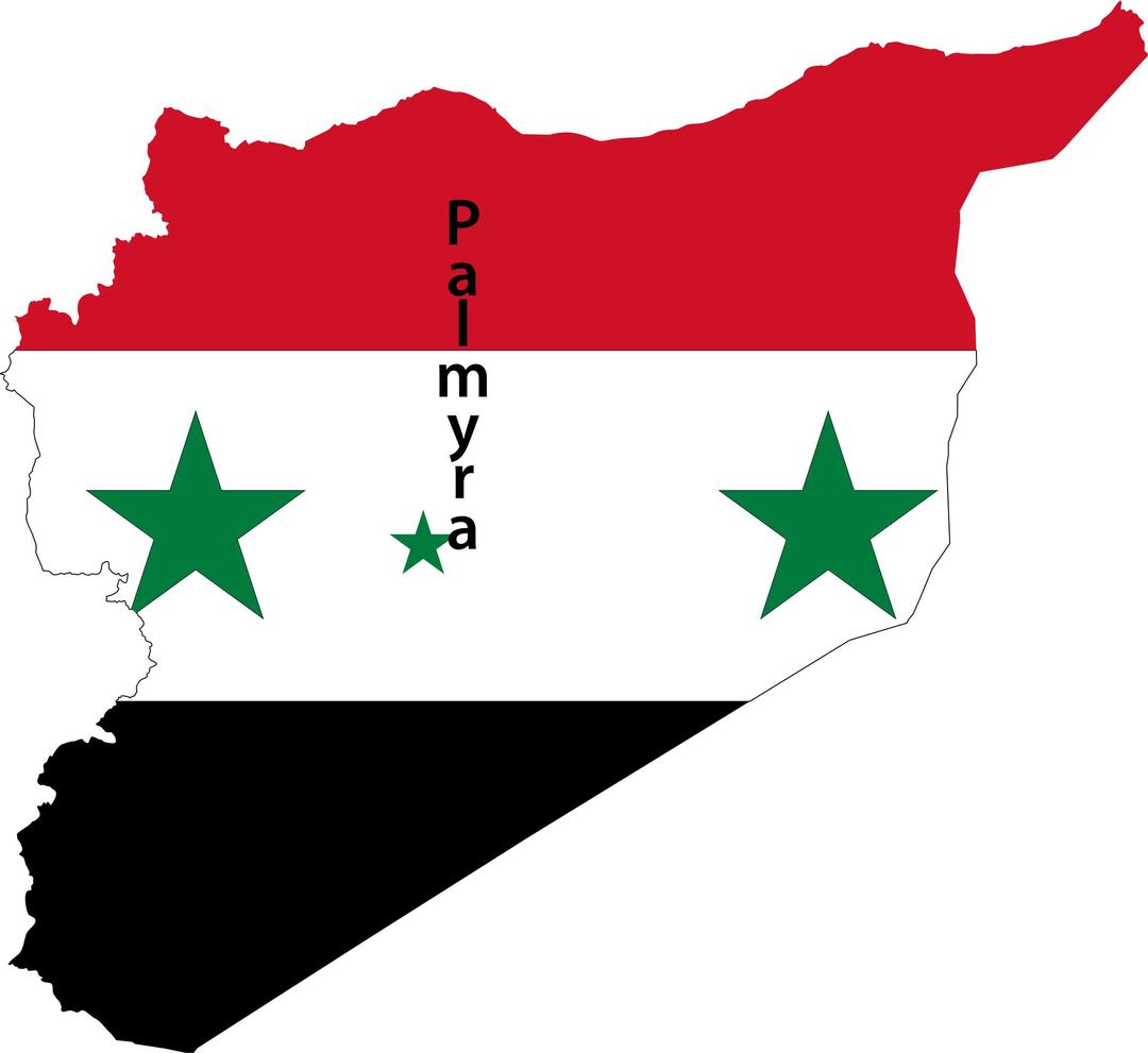Syria Map Flag With Palmyra png transparent