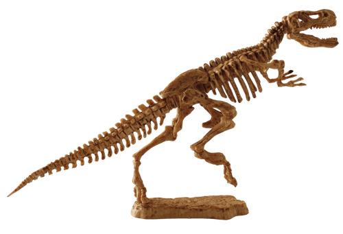 T-Rex Fossil png transparent