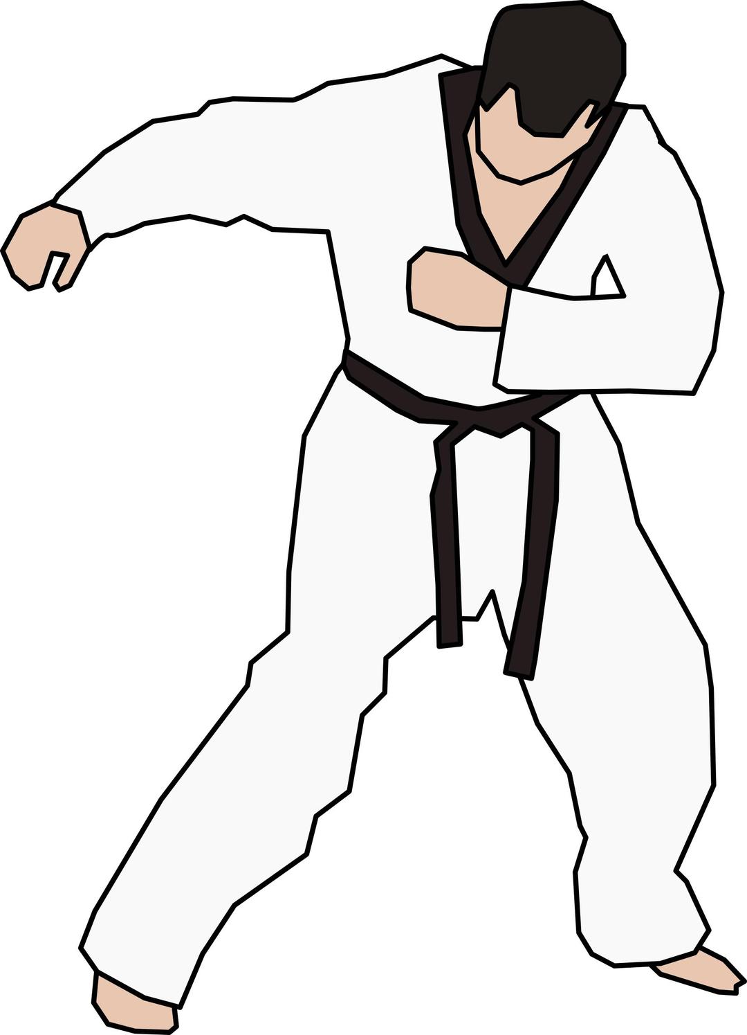 Taekwondo Fighter png transparent