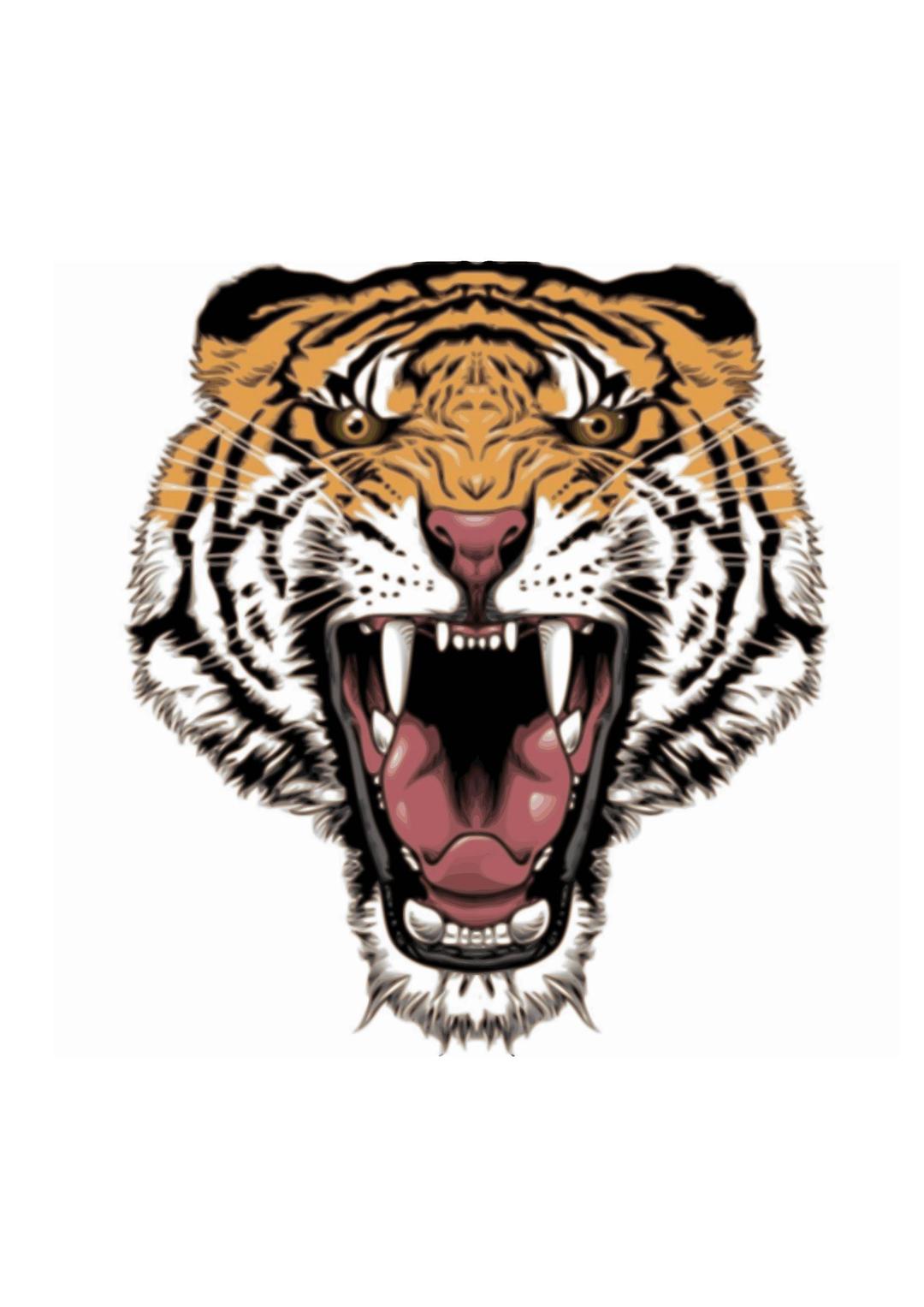Tattoo design tiger png transparent