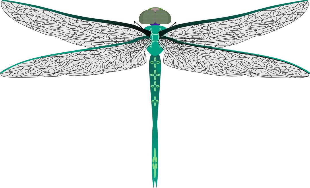 teal dragonfly png transparent