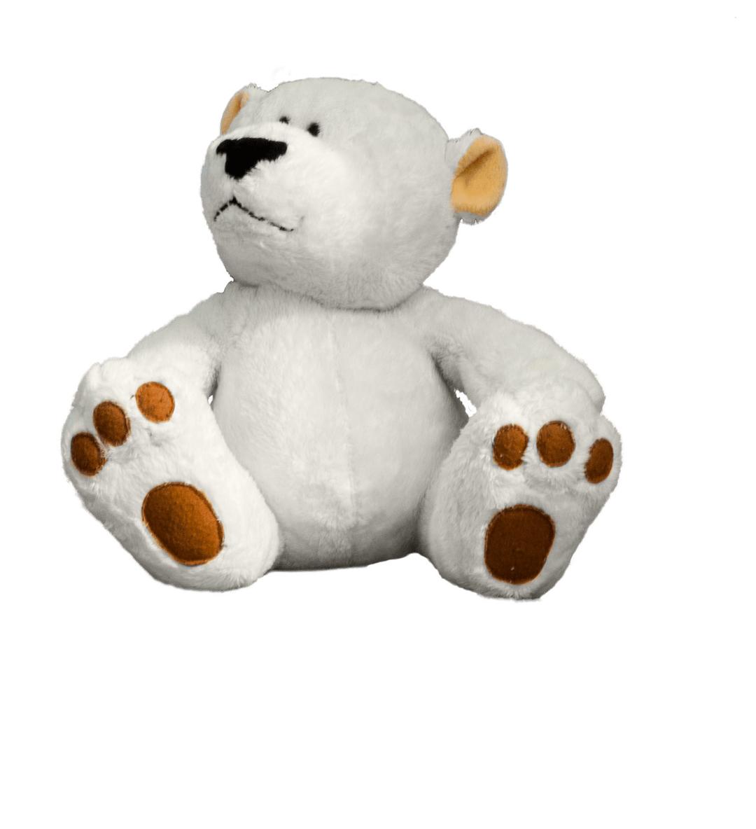 Teddy Bear Front View png transparent