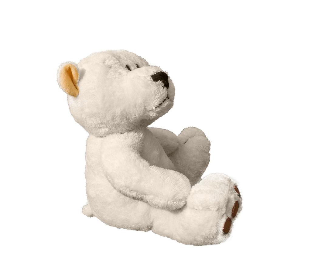 Teddy Bear Sideview png transparent