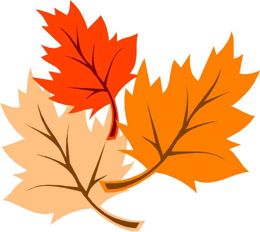 Thanksgiving Leaves png transparent