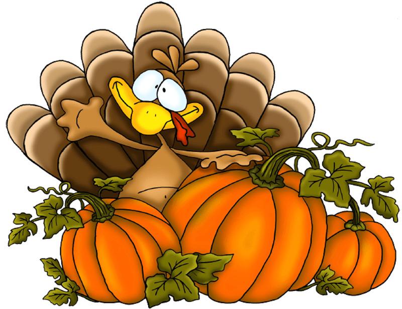 Thanksgiving Pumpkins Turkey png transparent