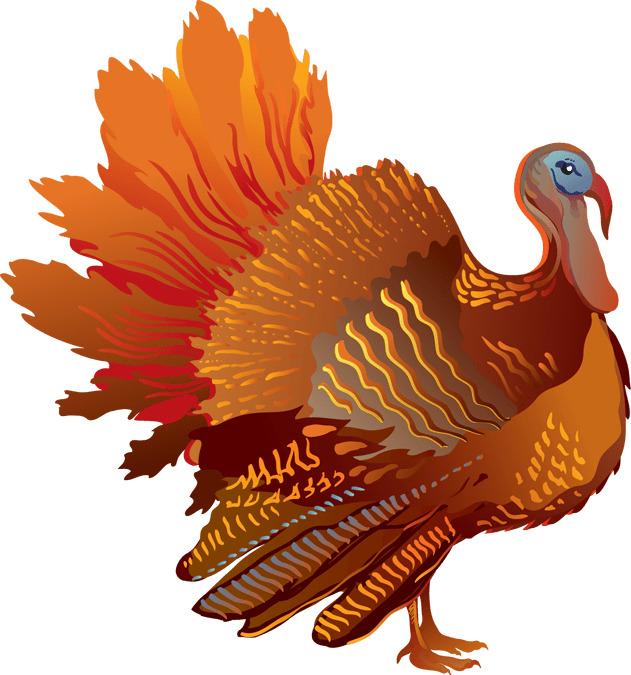 Thanksgiving Sideview Turkey png transparent