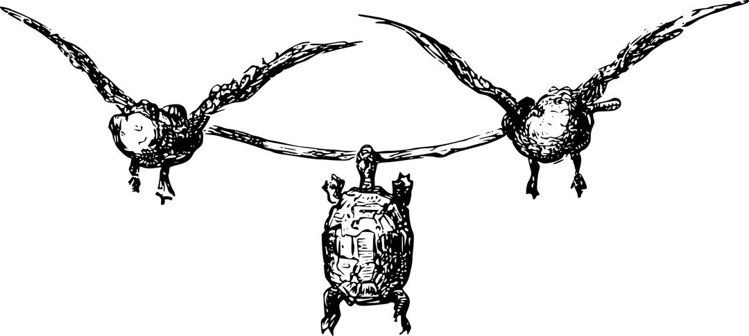 The Boastful Turtle png transparent