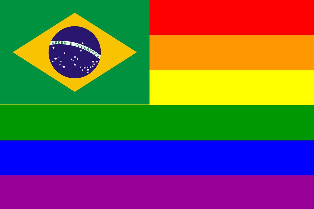 The Brazil Rainbow Flag png transparent
