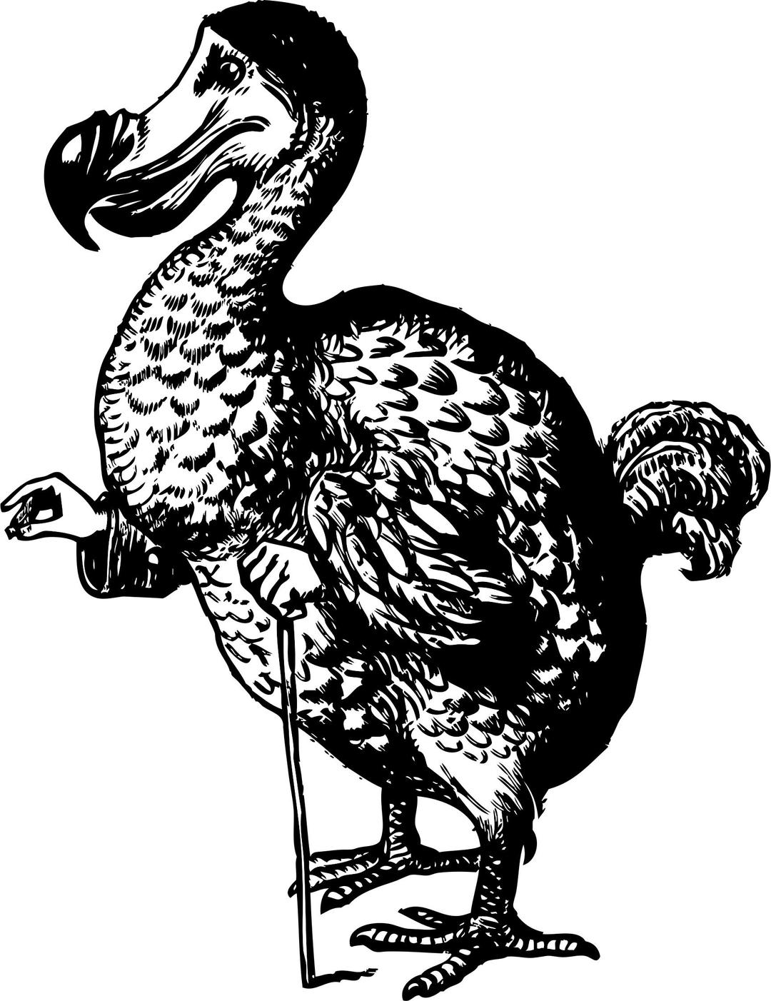 The Dodo from Alice in Wonderland png transparent
