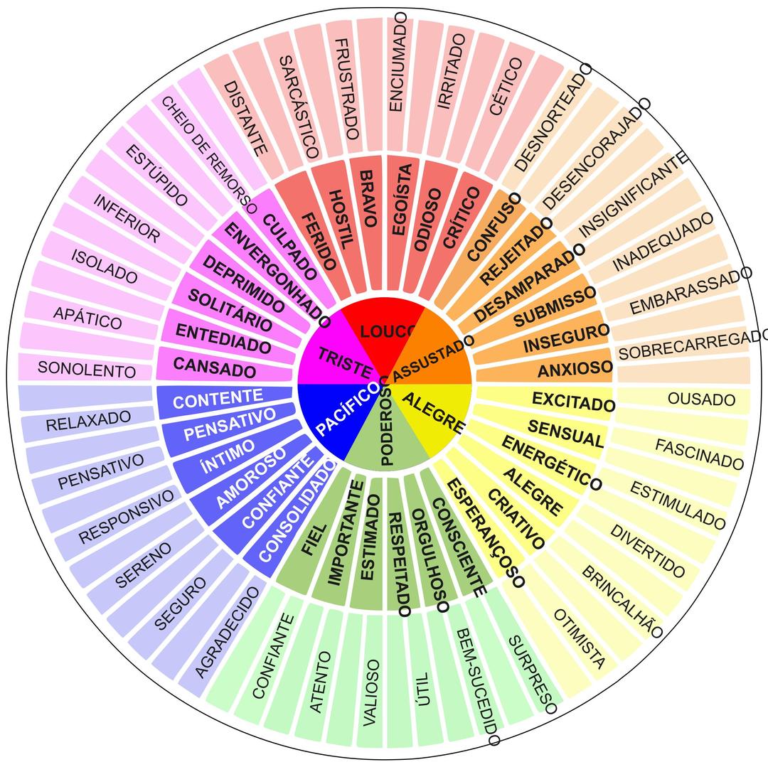 The feeling wheel (portuguese) png transparent