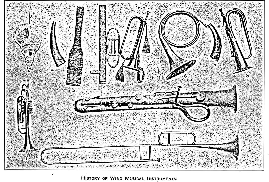 The History of Musical Instruments png transparent