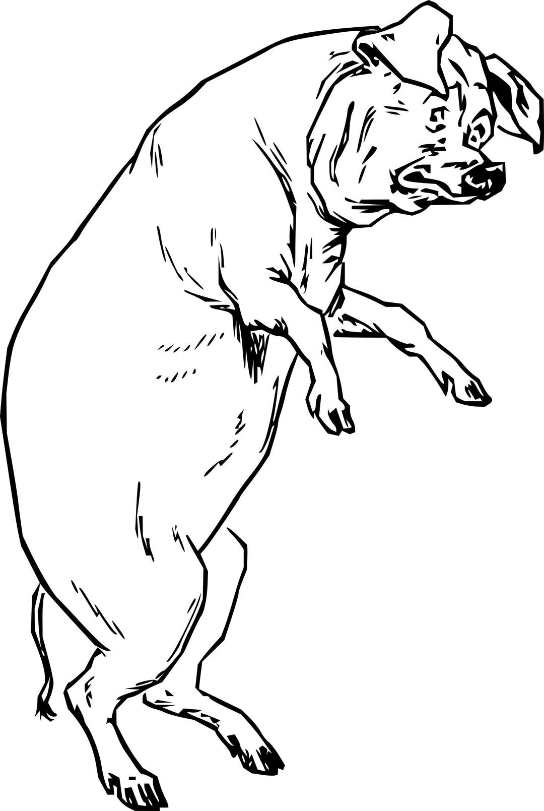 The Pig Who Had None png transparent
