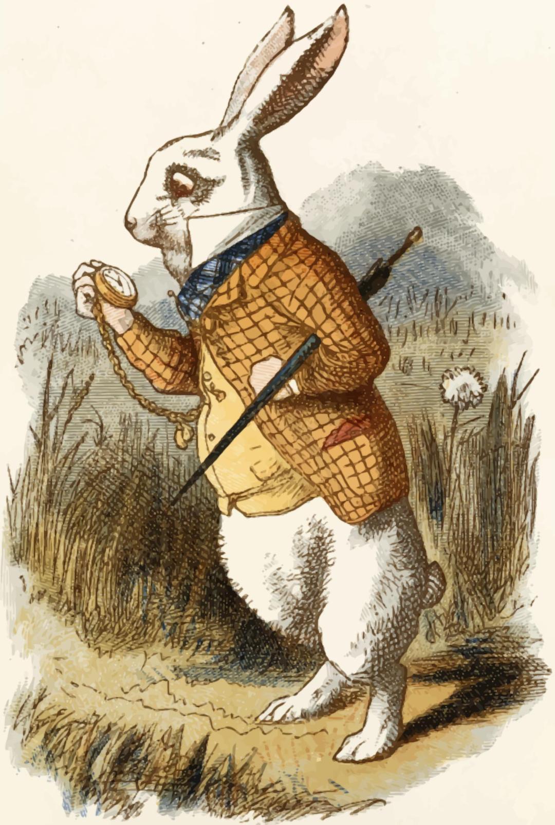 The white rabbit (colour) png transparent
