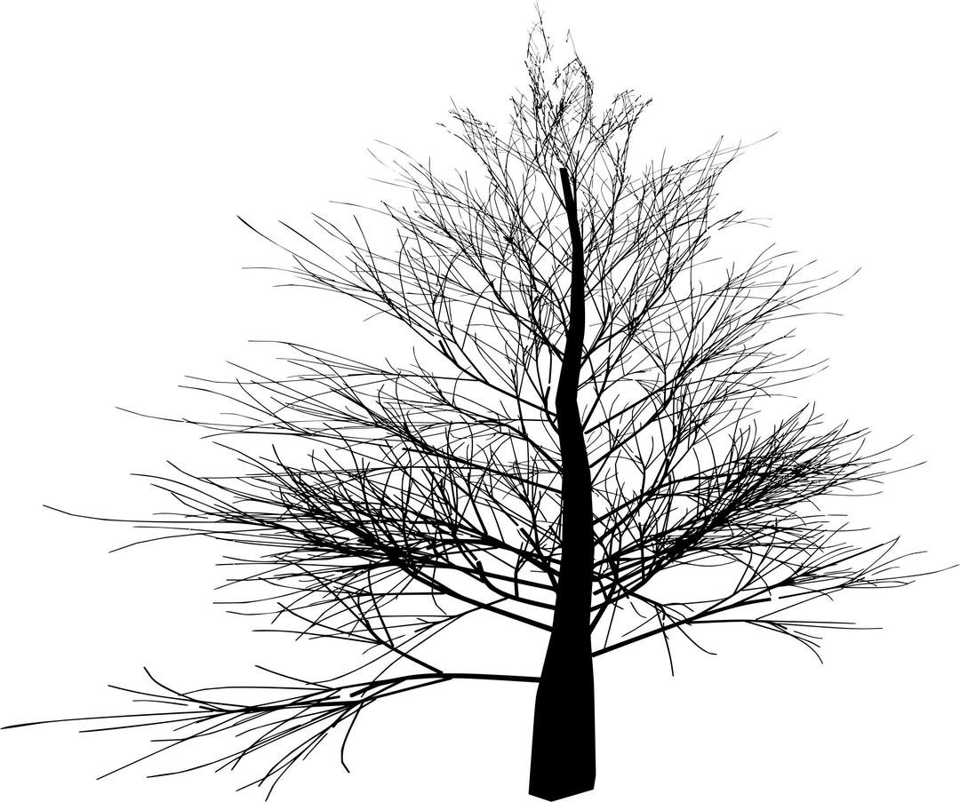 Thin Branched Tree Silhouette png transparent