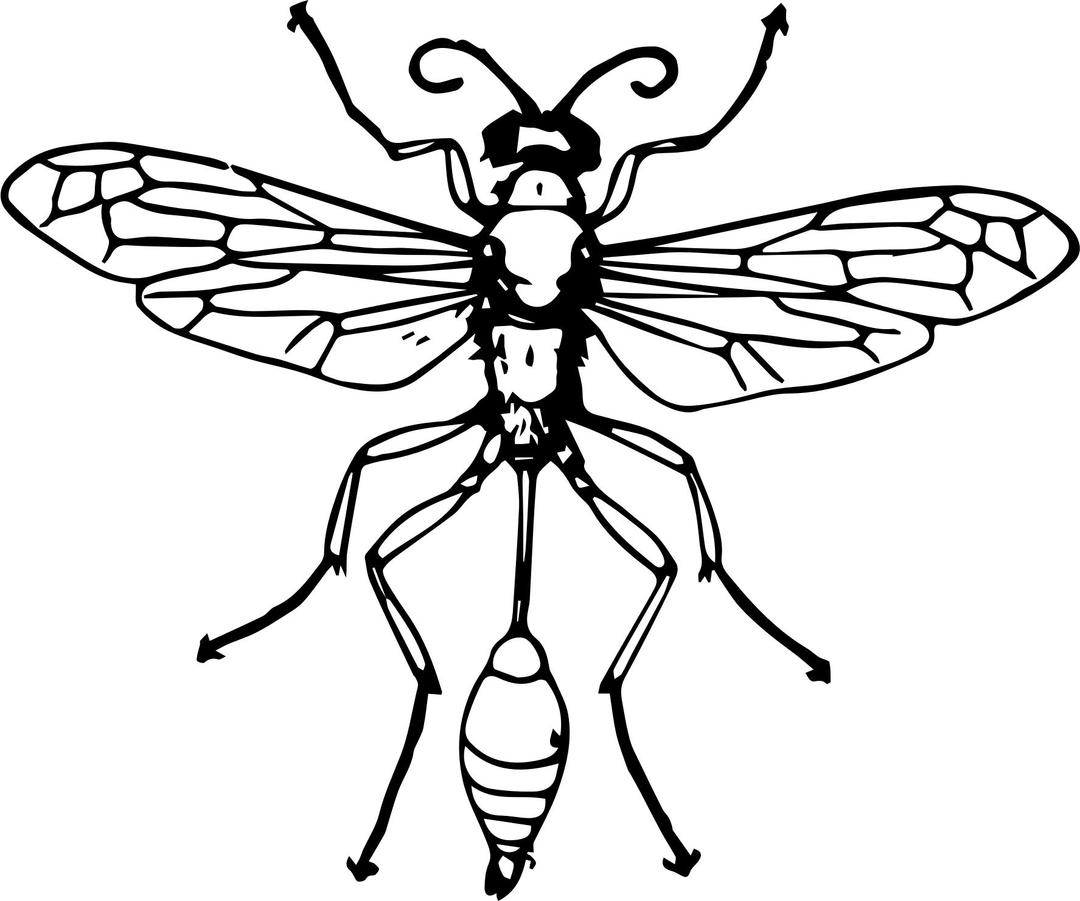 Thread-waisted wasp png transparent