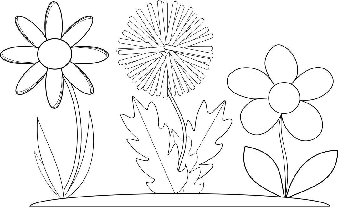 three flowers bw png transparent