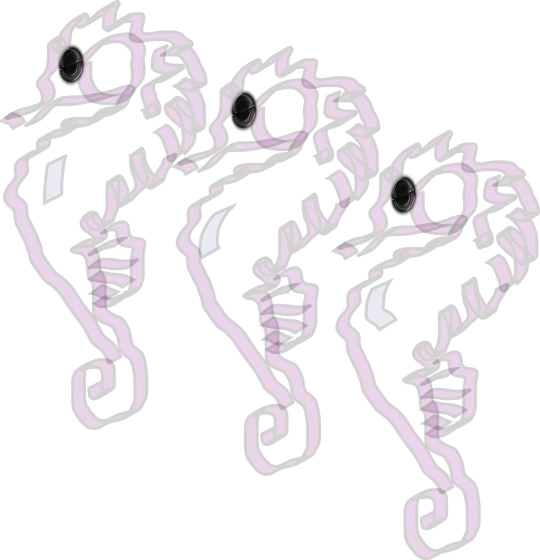 three seahorses png transparent