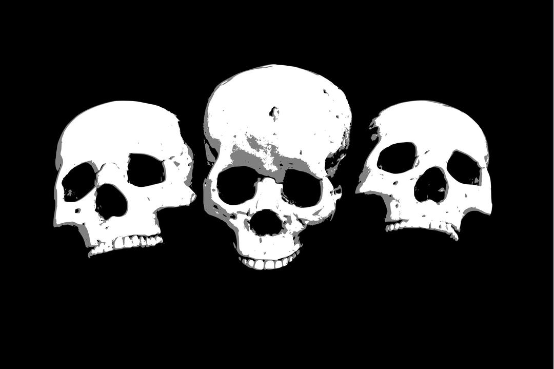 Three skulls png transparent