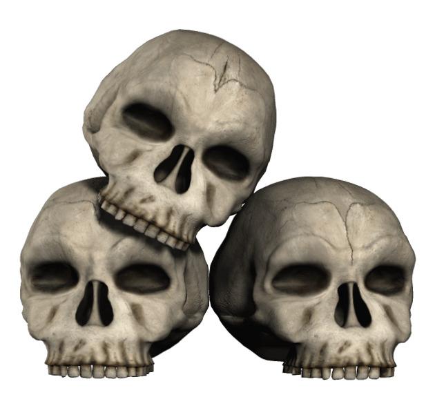Three Skulls png transparent