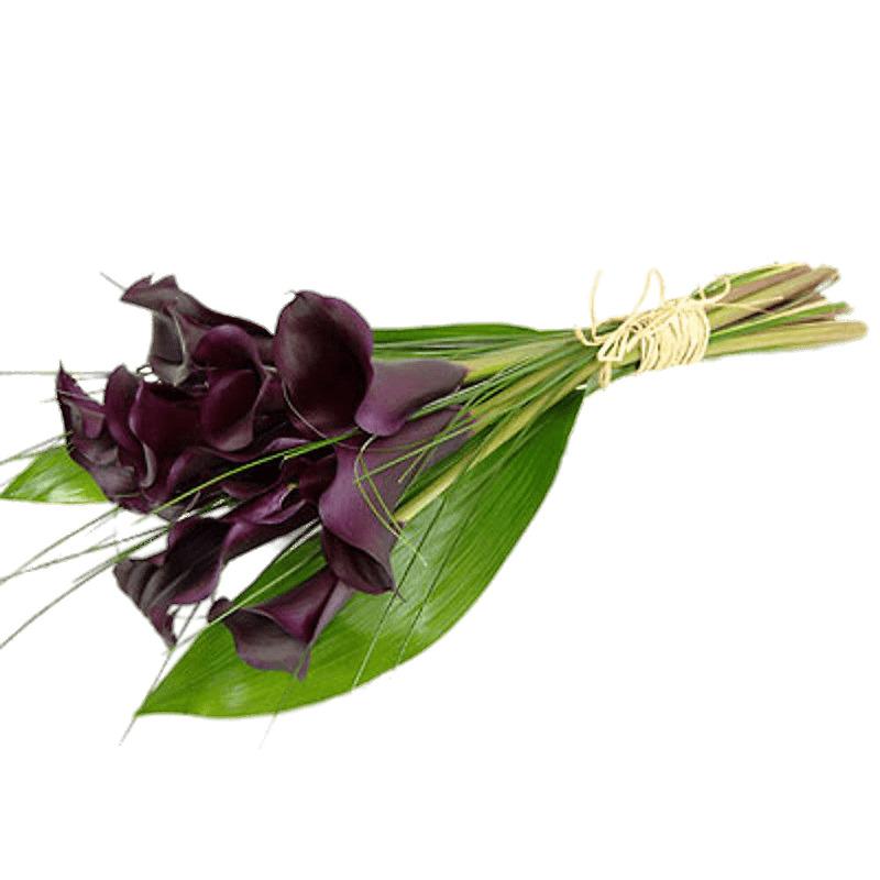 Tied Purple Calla Lilies png transparent
