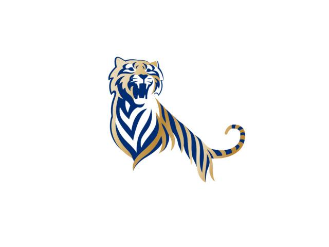 Tiger Beer Logo png transparent