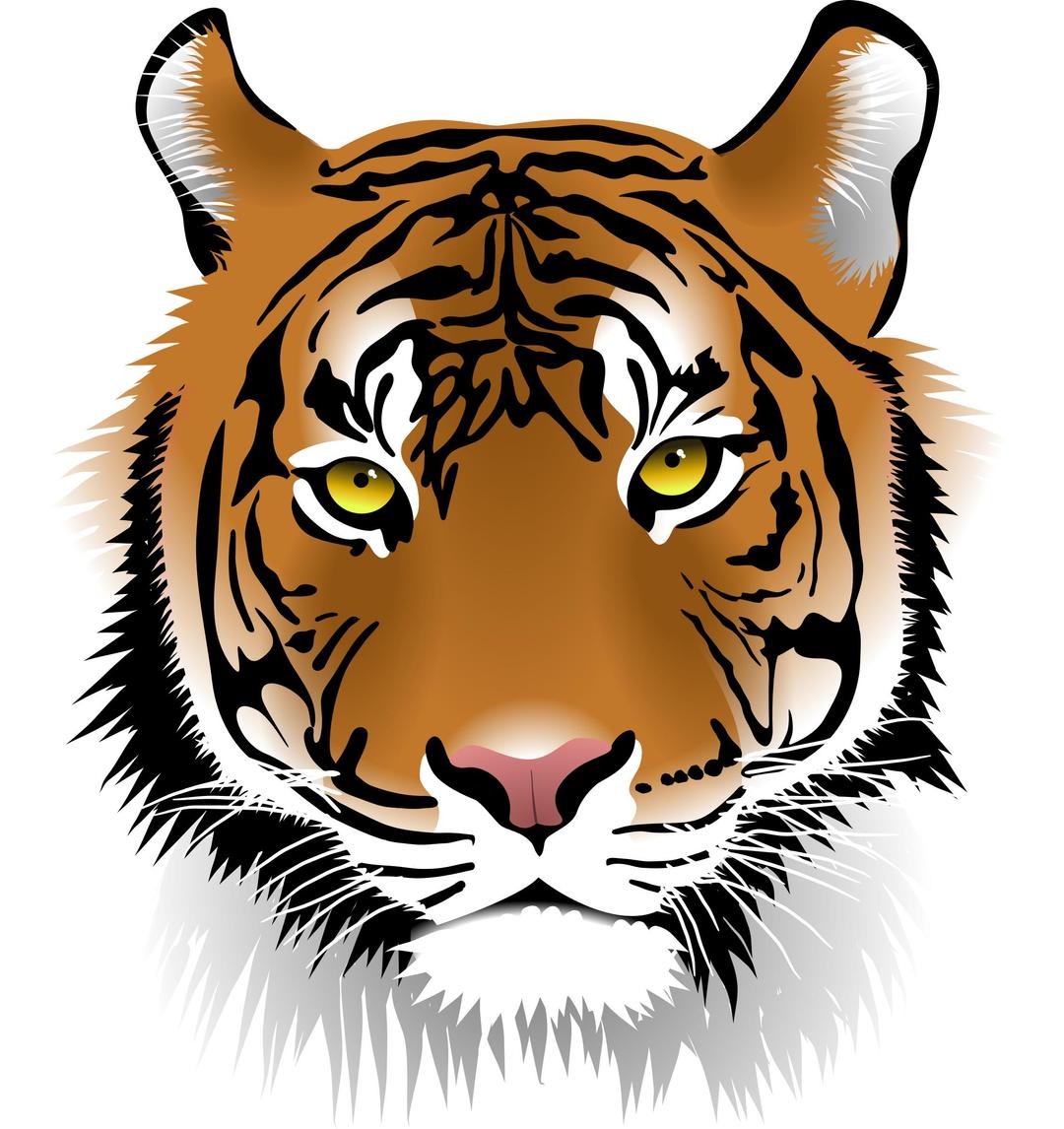 Tiger Face png transparent