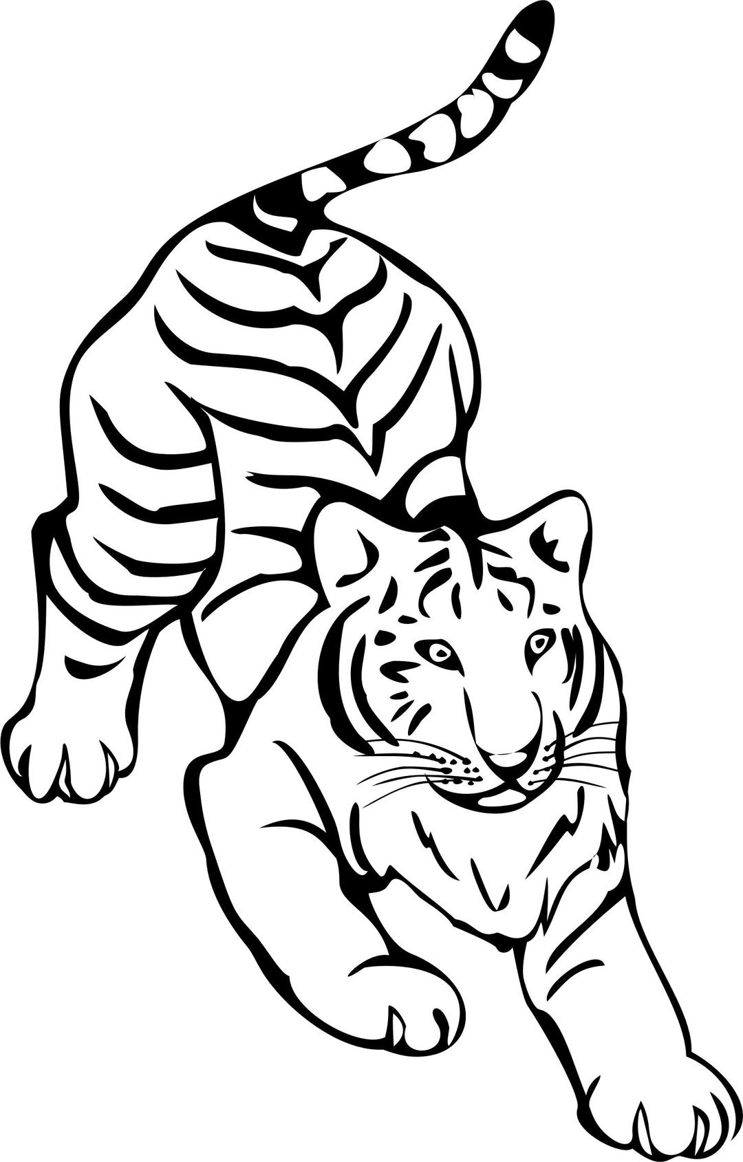 Tiger Line Art By Naobim png transparent