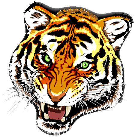 Tiger Tattoo Colour png transparent