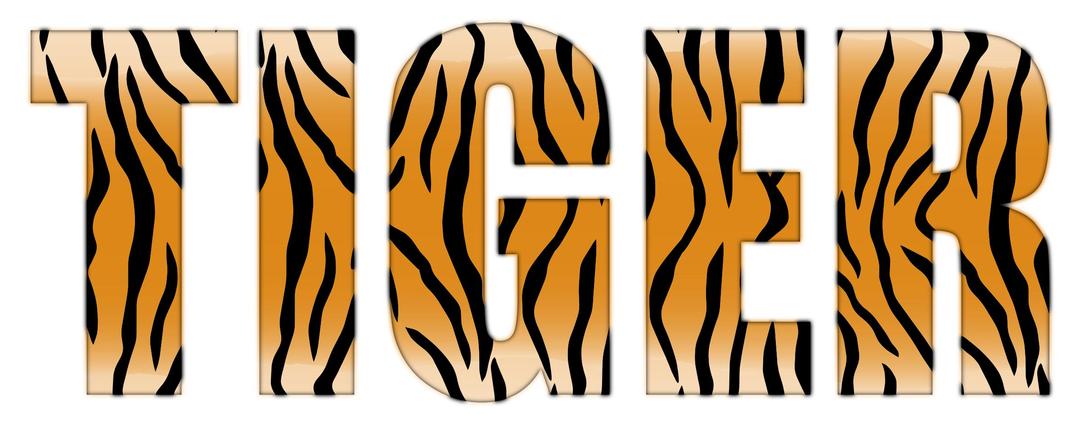 Tiger Typography Enhanced png transparent