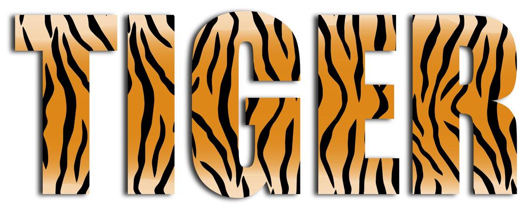 Tiger Typography Enhanced 2 png transparent