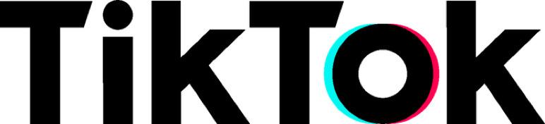 Tik Tok Text Logo png transparent