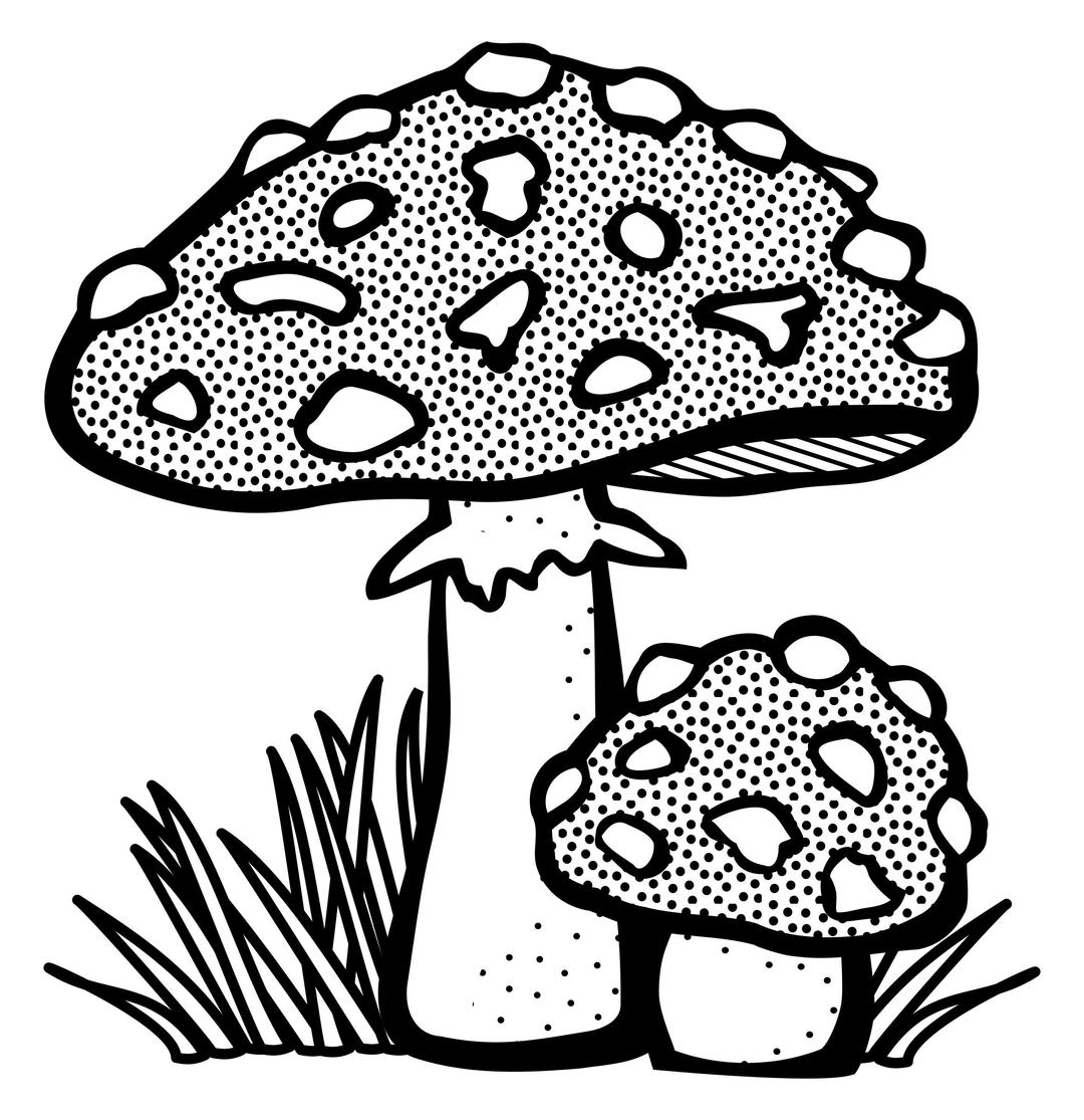 toadstool - lineart png transparent