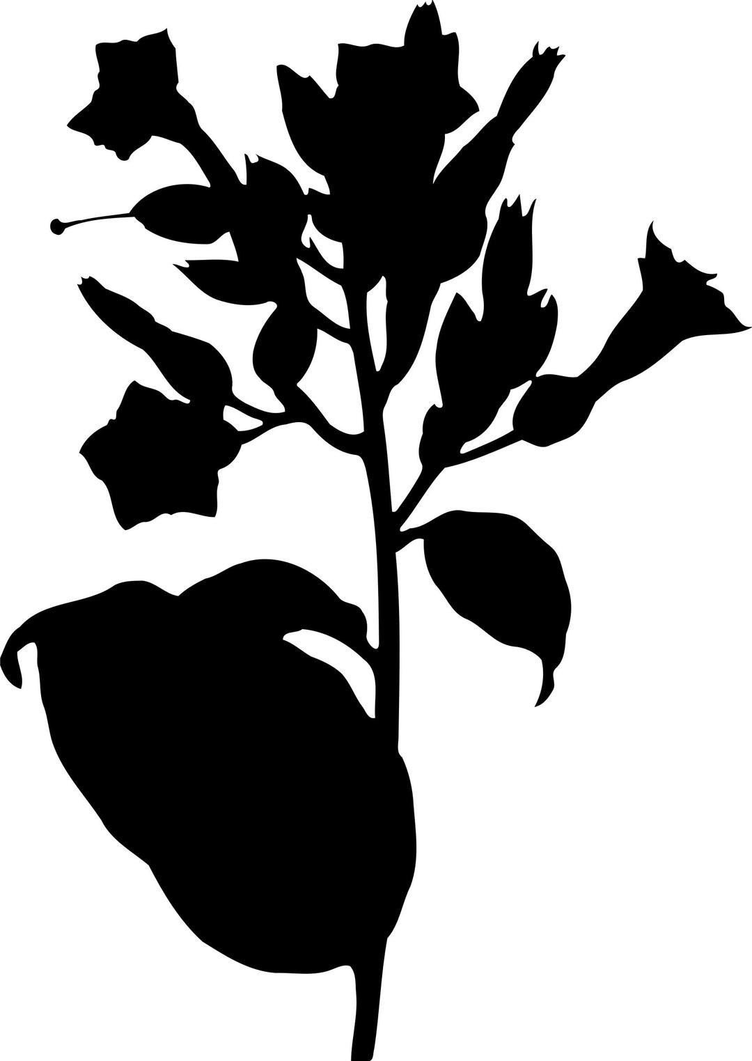 Tobacco plant silhouette png transparent