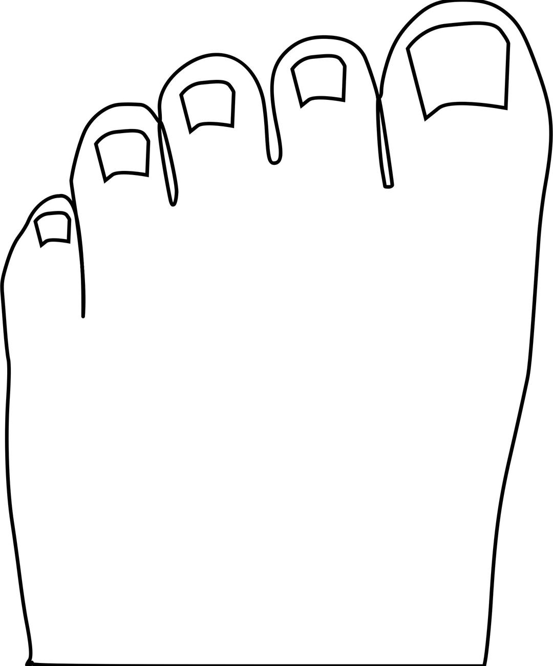 Toes Outline png transparent