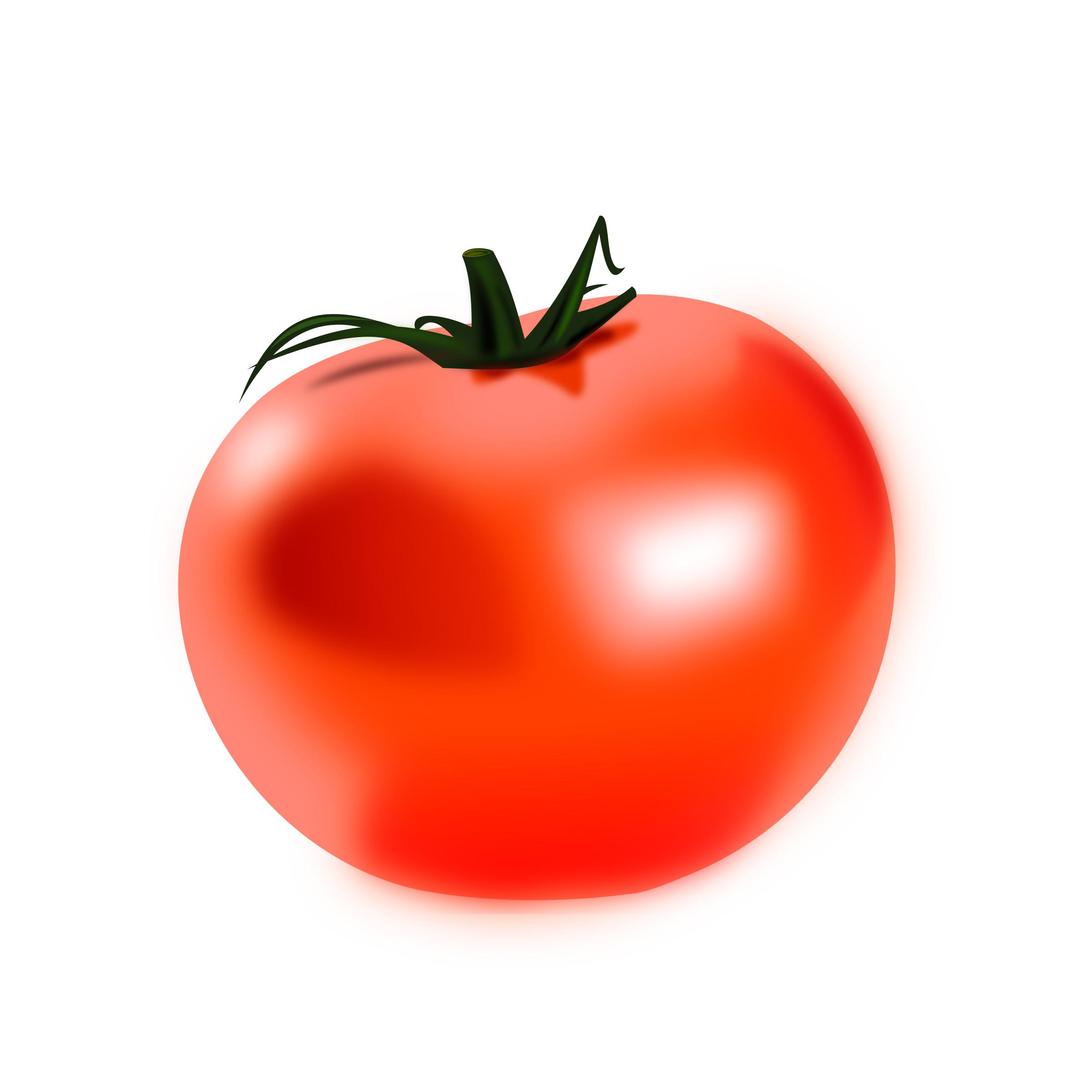 Tomate png transparent