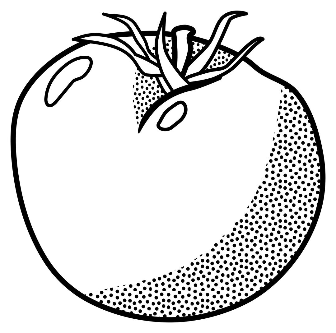 tomato - lineart png transparent