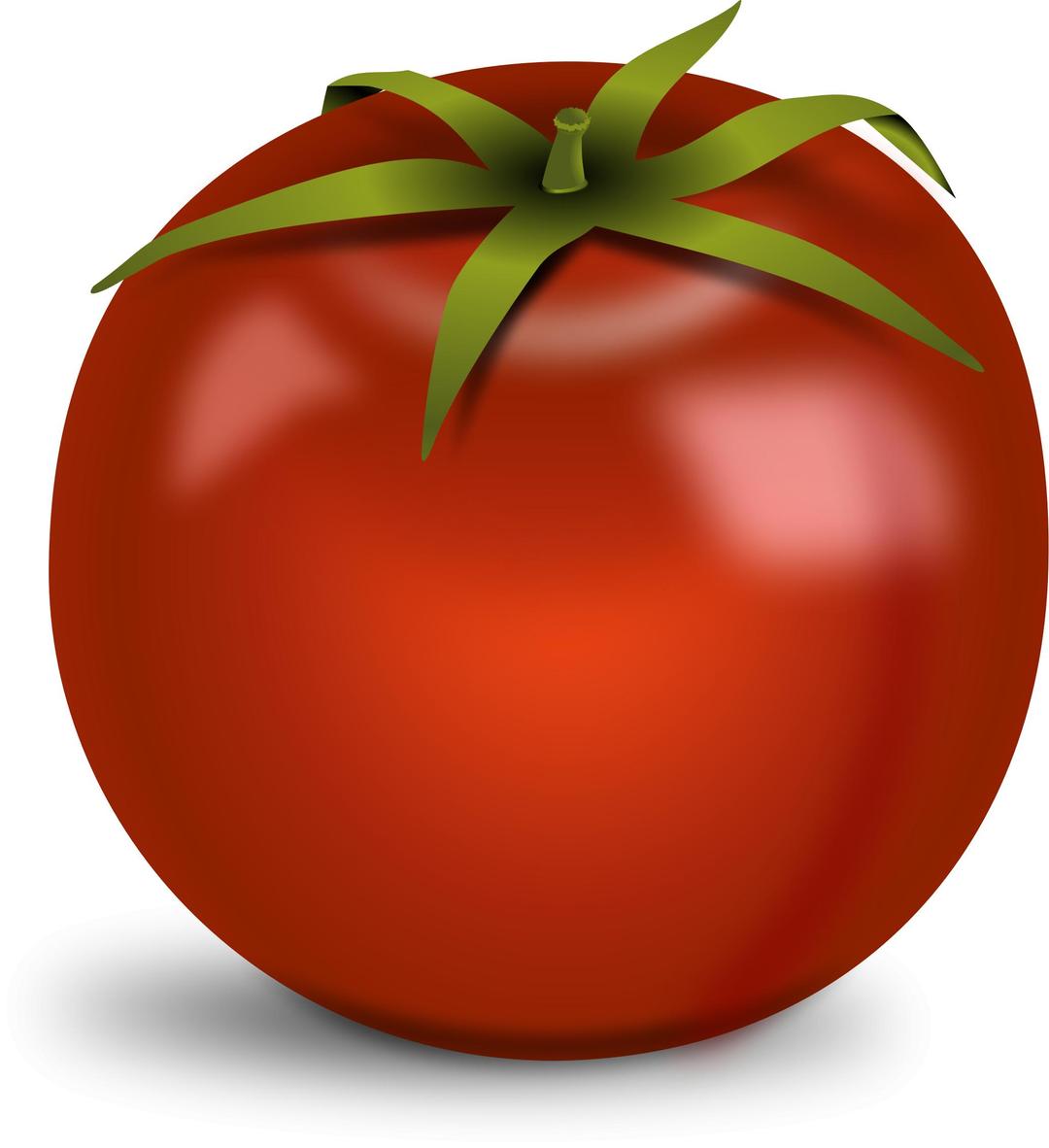 tomato, pomidoras, food png transparent