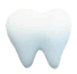 Tooth Illustration png transparent