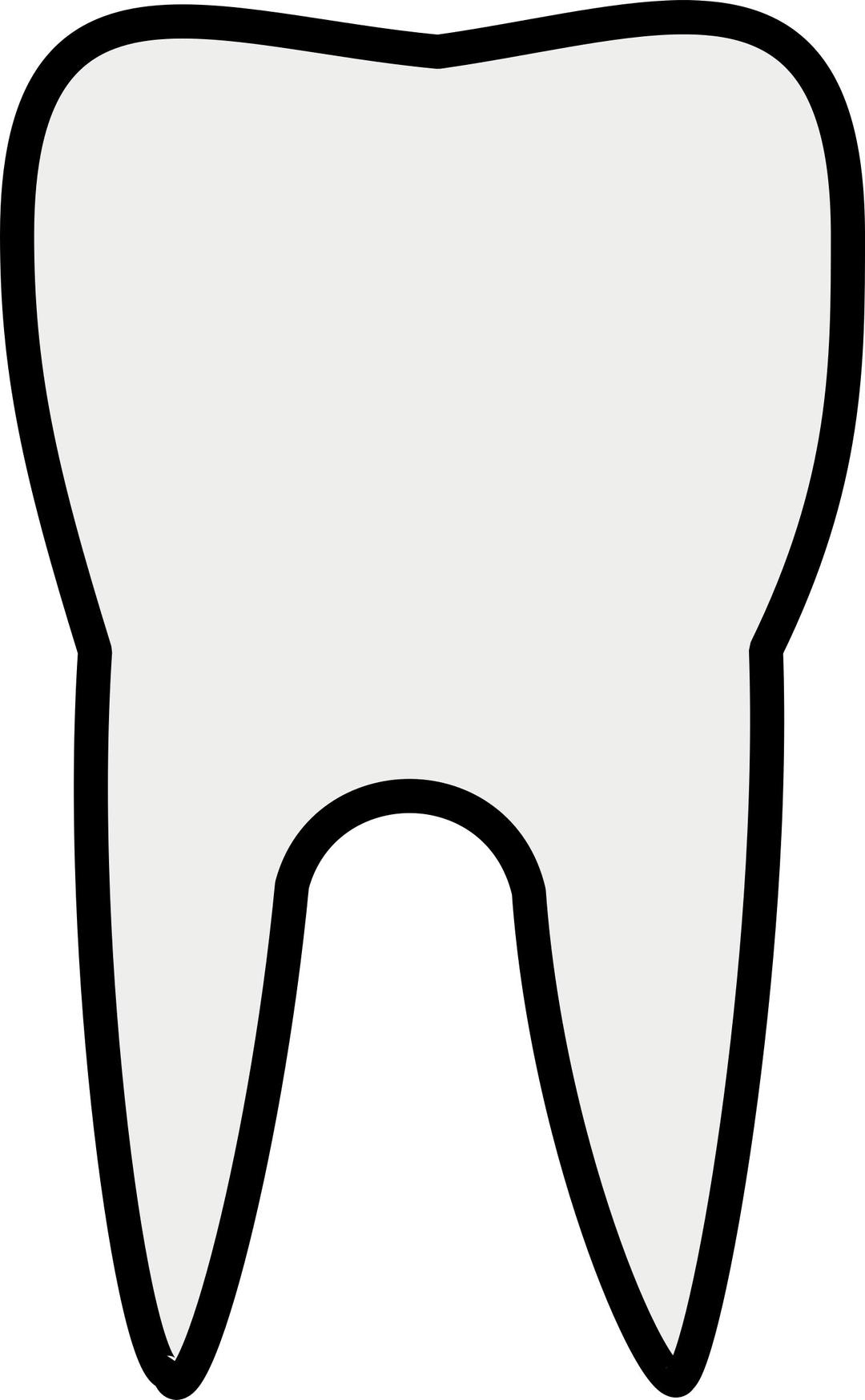 Tooth Line Art png transparent
