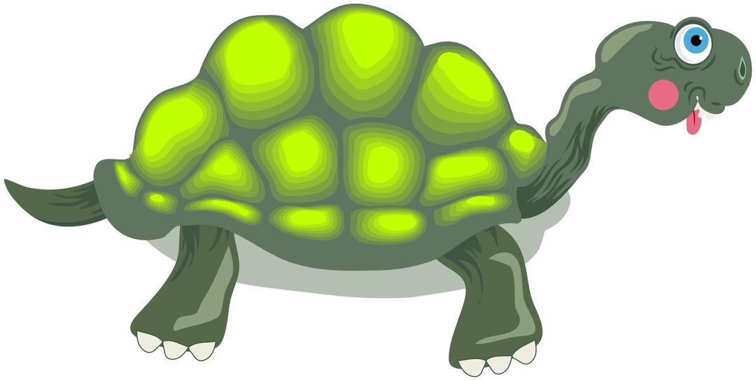 Tortoise Cartoon png transparent
