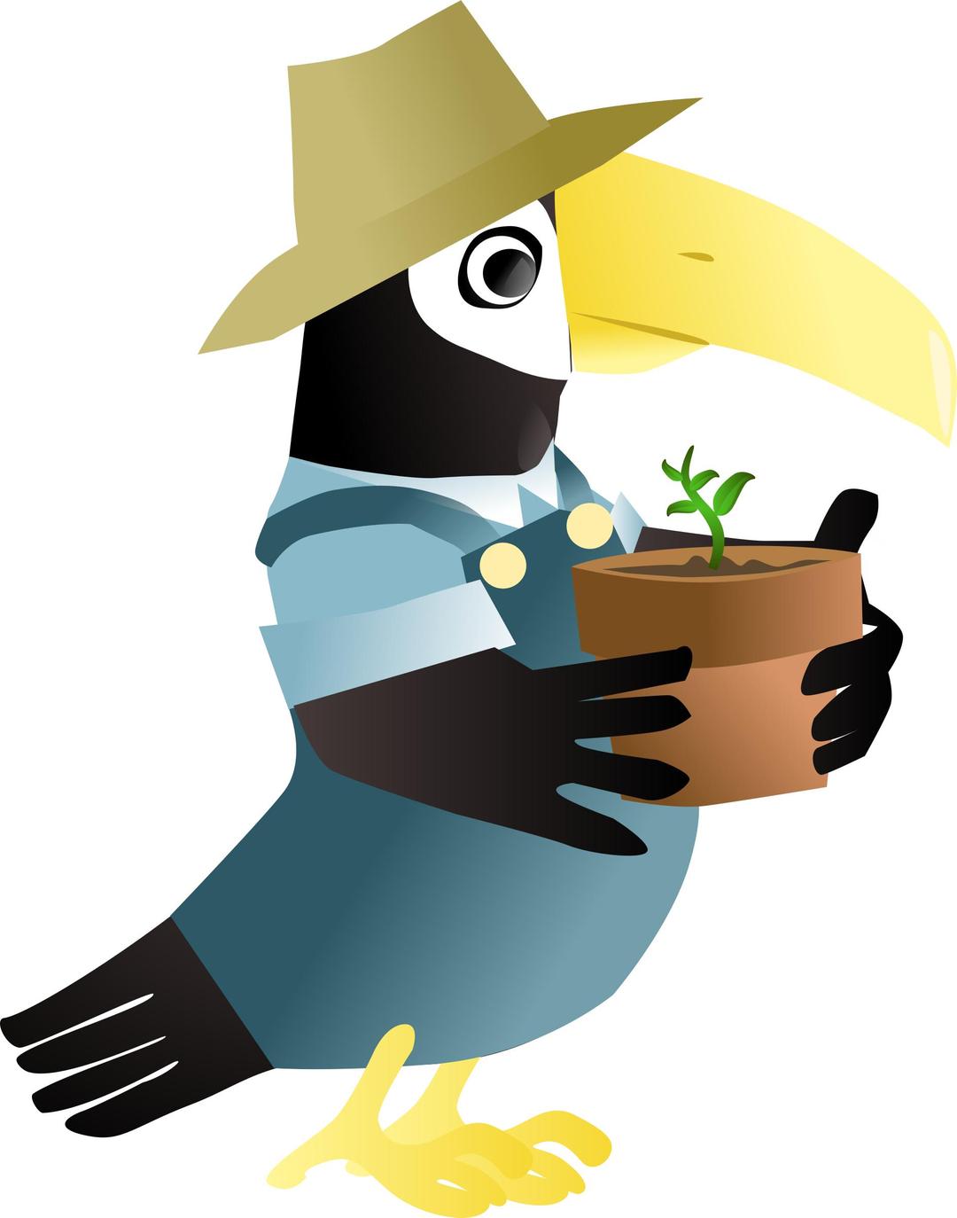 Toucan in the garden png transparent