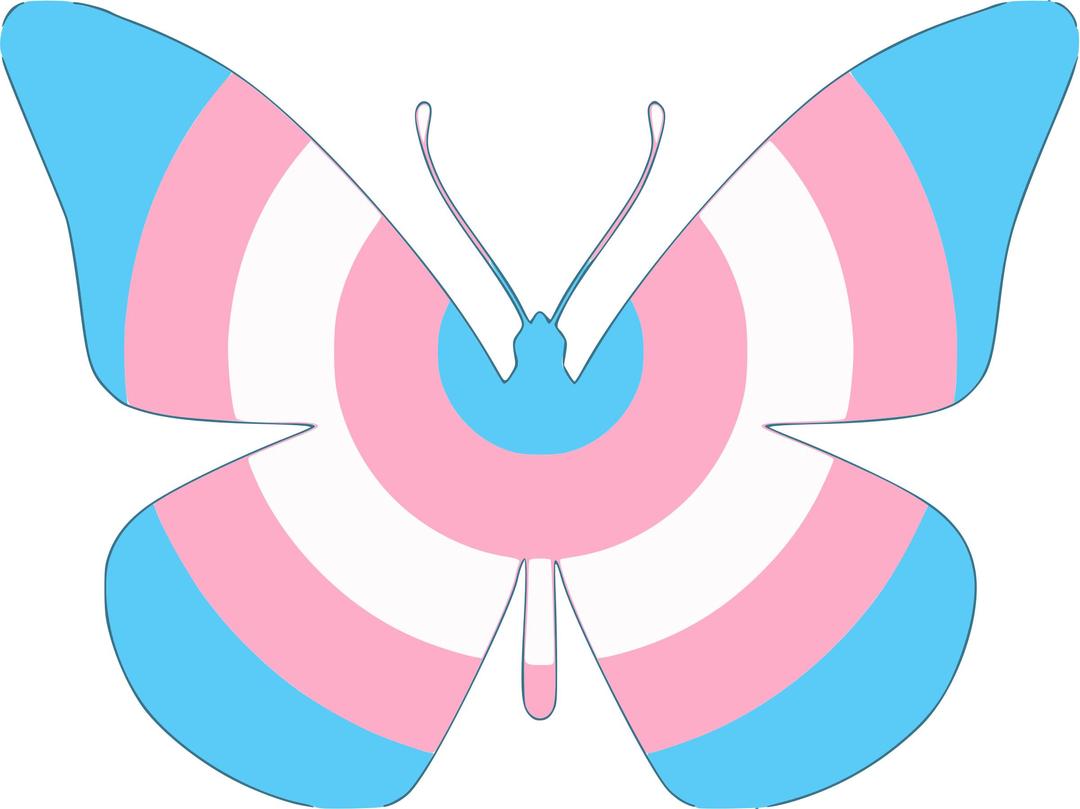 Trans Flag Butterfly png transparent