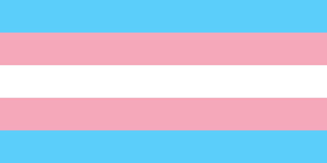 Transgender flag png transparent
