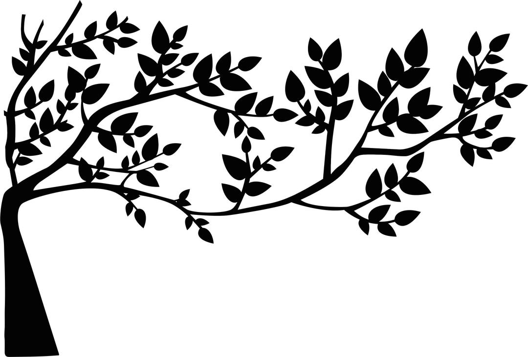 Tree And Leaves Silhouette png transparent