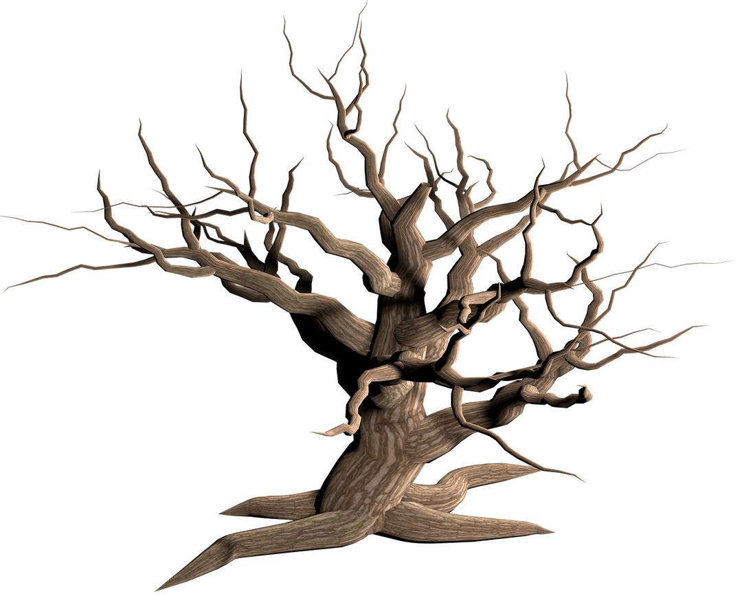 Tree Dead Branches png transparent