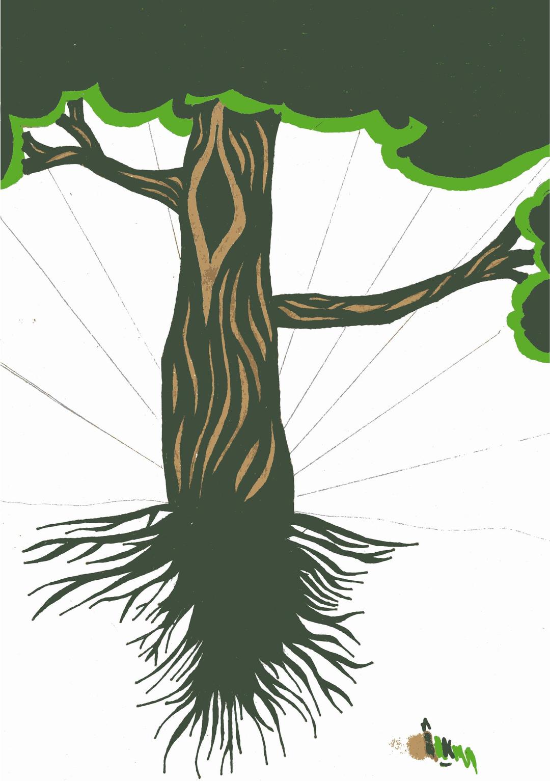 tree from sketch png transparent