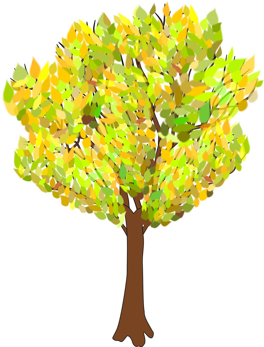 tree in autumn png transparent