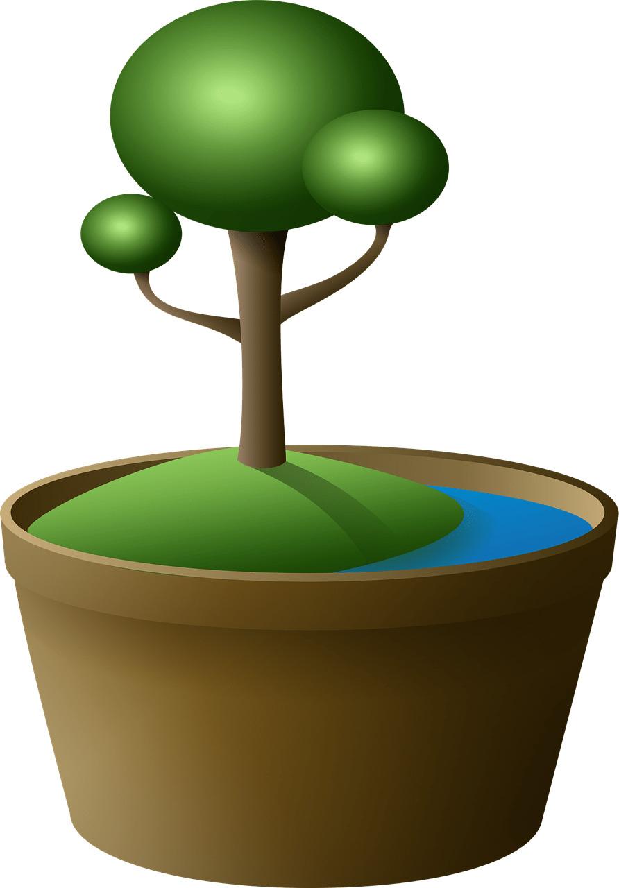 Tree In Pot Clipart png transparent