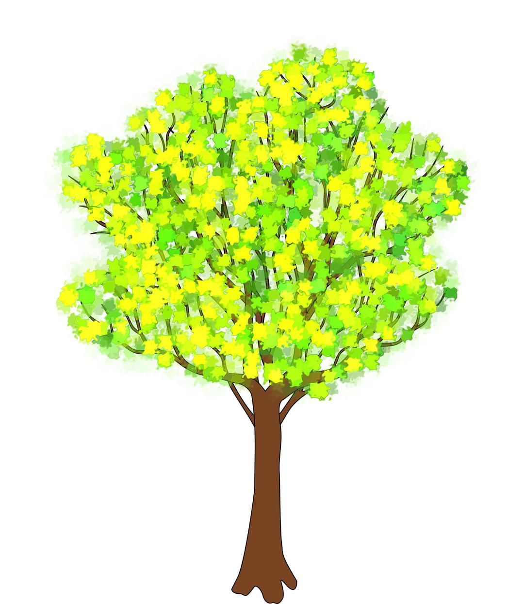 tree in spring png transparent
