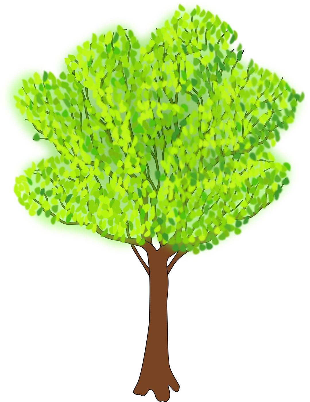 tree in summer png transparent